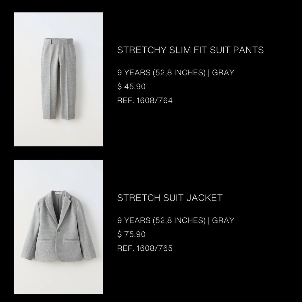 Zara Light Gray Blazer and pants